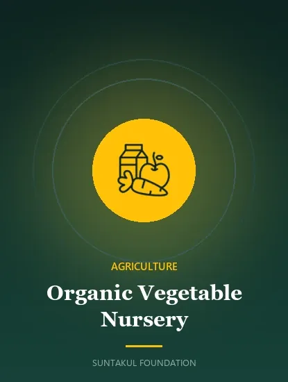 Organic Vegetable Nursery